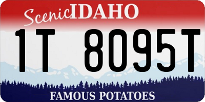 ID license plate 1T8095T