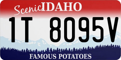 ID license plate 1T8095V
