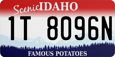 ID license plate 1T8096N