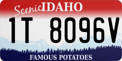 ID license plate 1T8096V