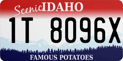 ID license plate 1T8096X