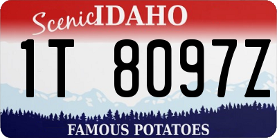 ID license plate 1T8097Z