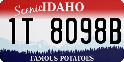 ID license plate 1T8098B