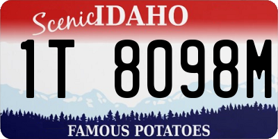 ID license plate 1T8098M