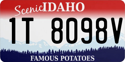 ID license plate 1T8098V
