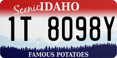 ID license plate 1T8098Y