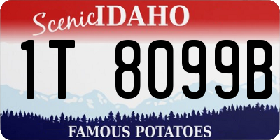 ID license plate 1T8099B