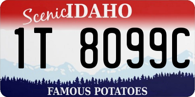 ID license plate 1T8099C