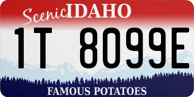 ID license plate 1T8099E