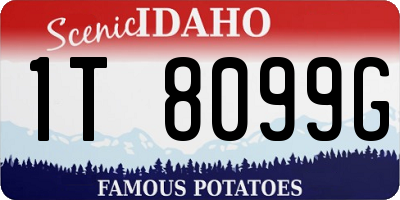 ID license plate 1T8099G
