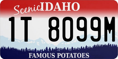 ID license plate 1T8099M