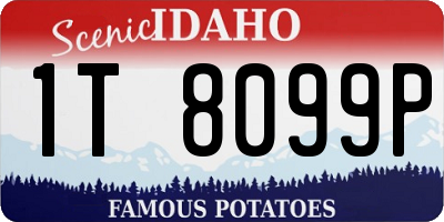 ID license plate 1T8099P