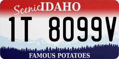 ID license plate 1T8099V