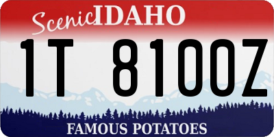 ID license plate 1T8100Z
