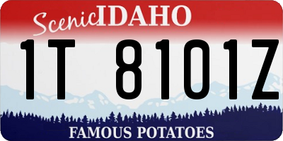 ID license plate 1T8101Z