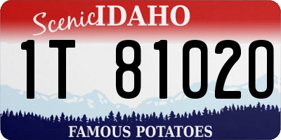 ID license plate 1T8102O