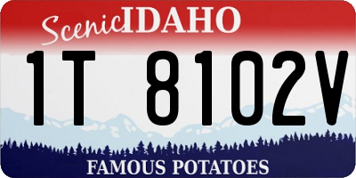 ID license plate 1T8102V