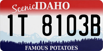 ID license plate 1T8103B