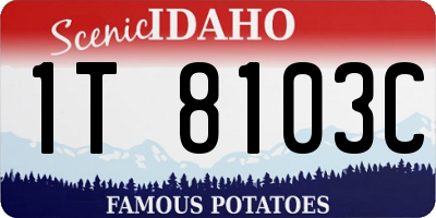 ID license plate 1T8103C