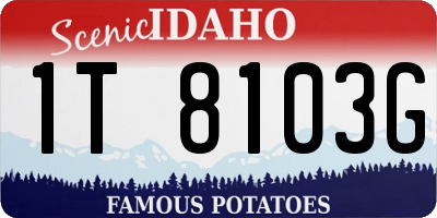 ID license plate 1T8103G