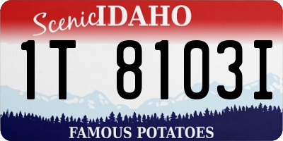 ID license plate 1T8103I
