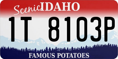 ID license plate 1T8103P