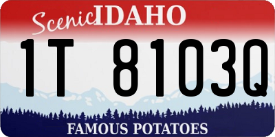 ID license plate 1T8103Q