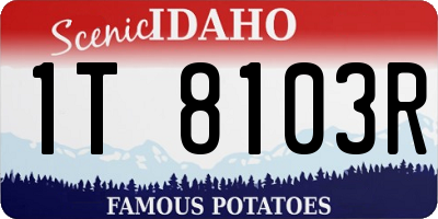 ID license plate 1T8103R
