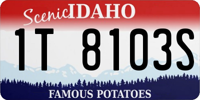 ID license plate 1T8103S