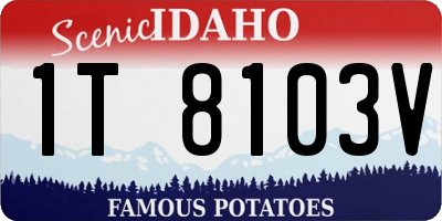 ID license plate 1T8103V
