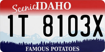 ID license plate 1T8103X