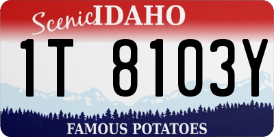 ID license plate 1T8103Y