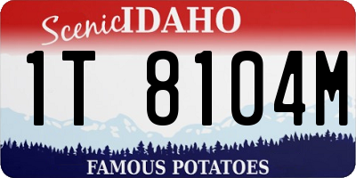 ID license plate 1T8104M