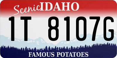 ID license plate 1T8107G