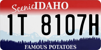 ID license plate 1T8107H