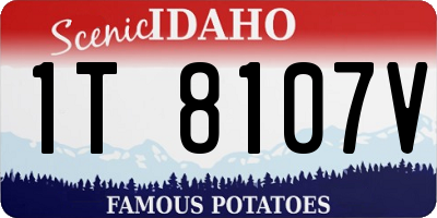 ID license plate 1T8107V