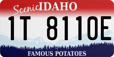 ID license plate 1T8110E
