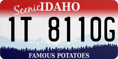 ID license plate 1T8110G