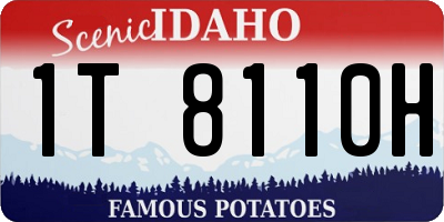 ID license plate 1T8110H