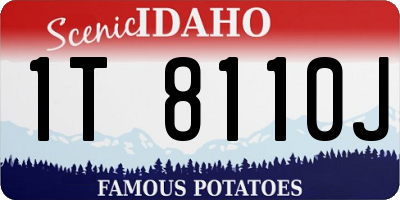 ID license plate 1T8110J