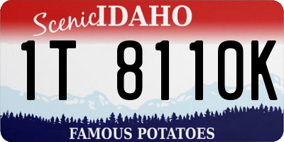 ID license plate 1T8110K