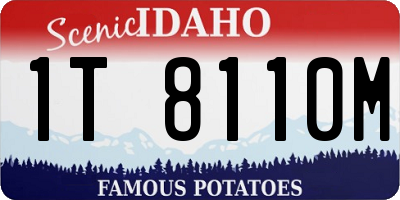 ID license plate 1T8110M