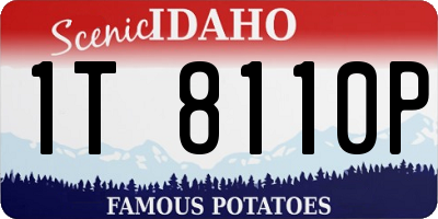 ID license plate 1T8110P