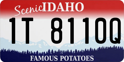 ID license plate 1T8110Q