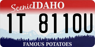 ID license plate 1T8110U