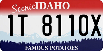 ID license plate 1T8110X
