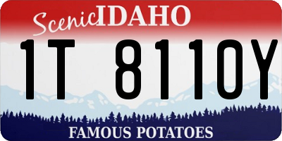 ID license plate 1T8110Y