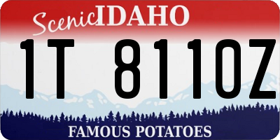 ID license plate 1T8110Z
