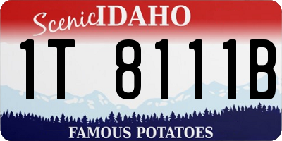 ID license plate 1T8111B