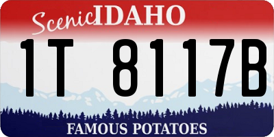 ID license plate 1T8117B